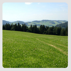 Landschaft Alp Farner